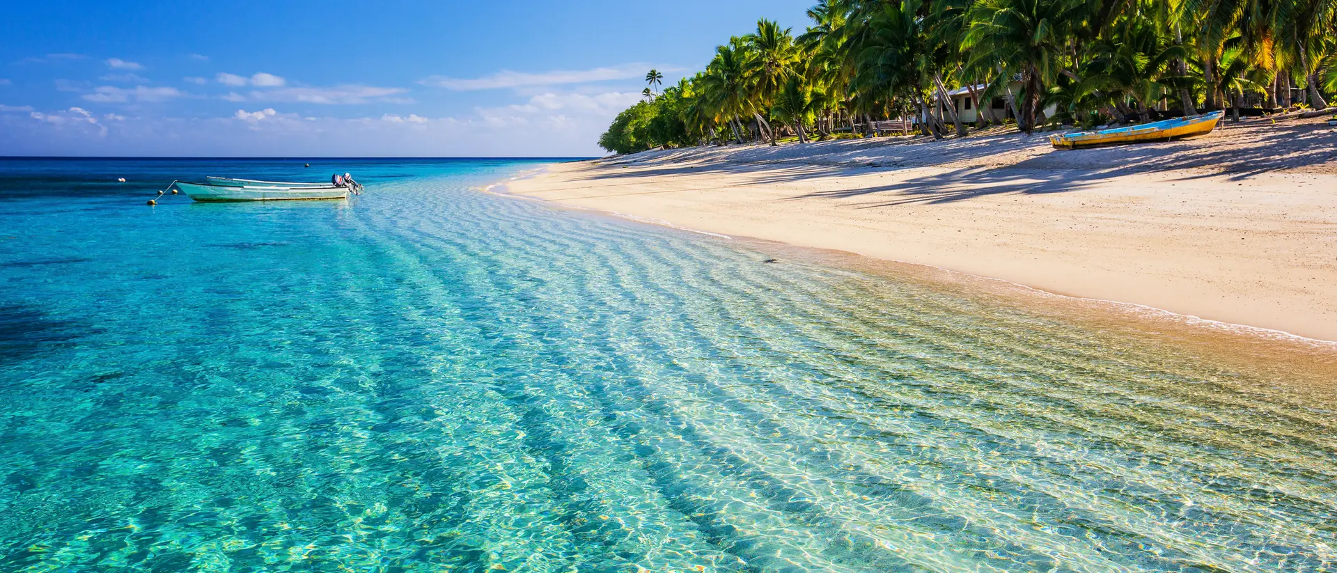 A sunny beach with crystal-clear water and lush palm trees lining the shore, creating a serene tropical paradise.