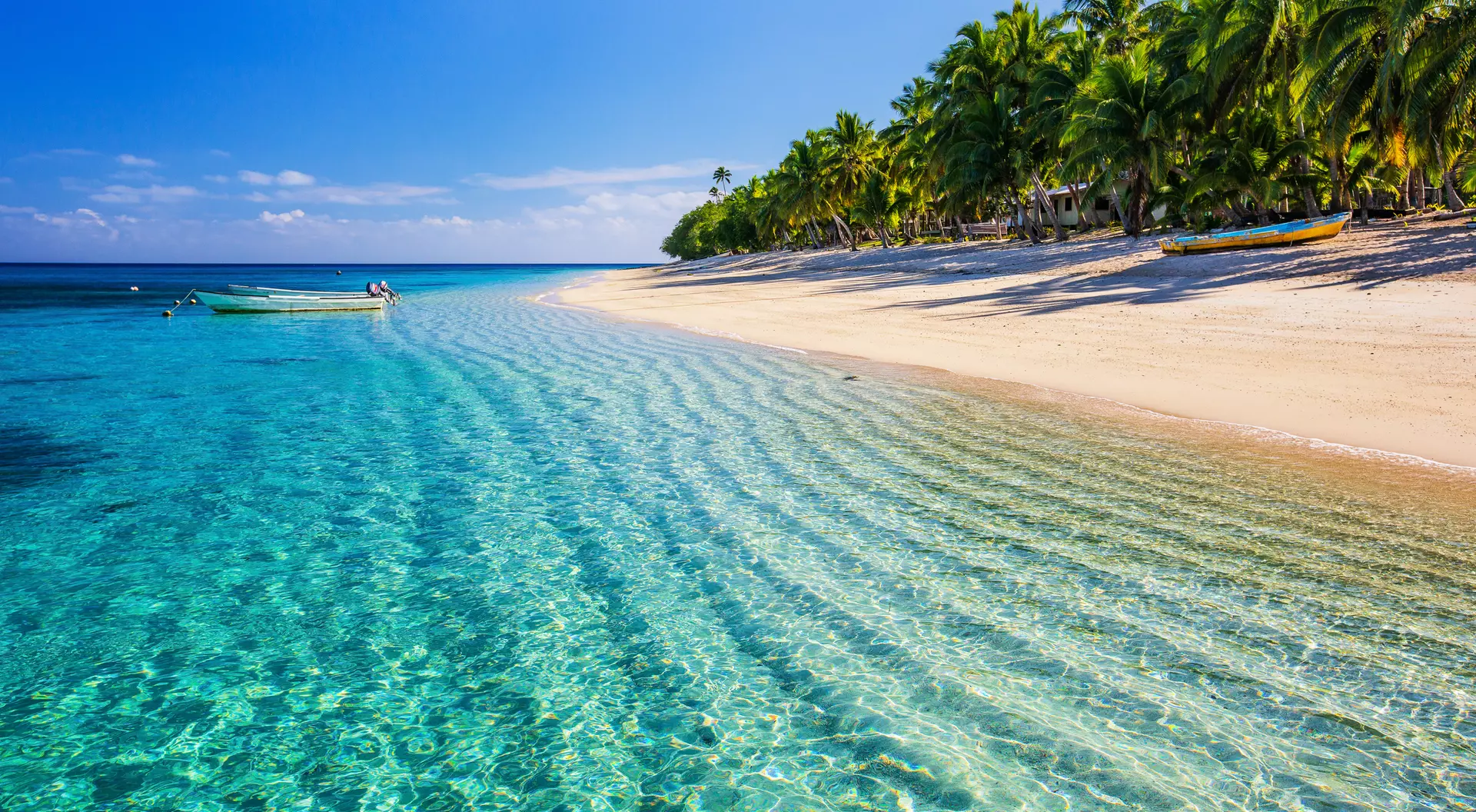 A sunny beach with crystal-clear water and lush palm trees lining the shore, creating a serene tropical paradise.