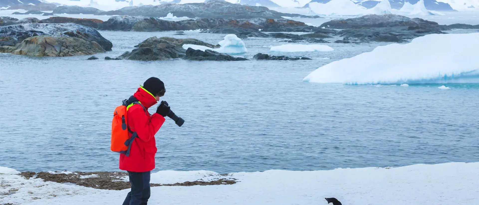 A person in a red jacket photographs a penguin near icy waters and snowy mountains in a polar landscape.