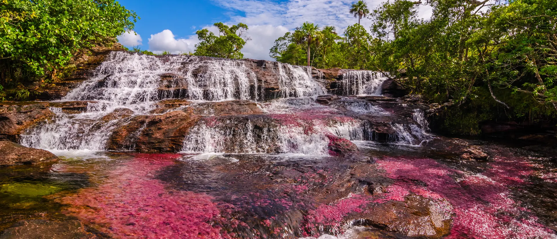 National Park Serrania de la Macarena For a few weeks, the Caño Cristales river transforms into a flowing rainbow of colors. Part of National Park Serrania de la Macarena and accessible from the nearby town of La Macarena