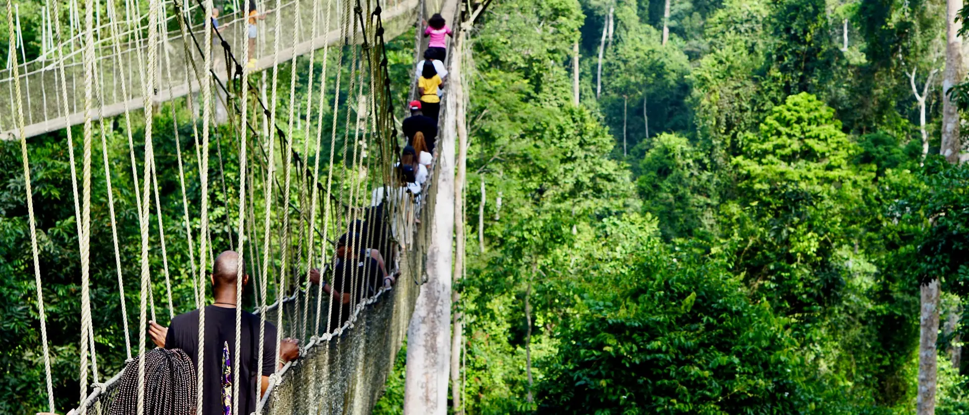 A group of people walks on a suspended rope bridge in a lush green forest.