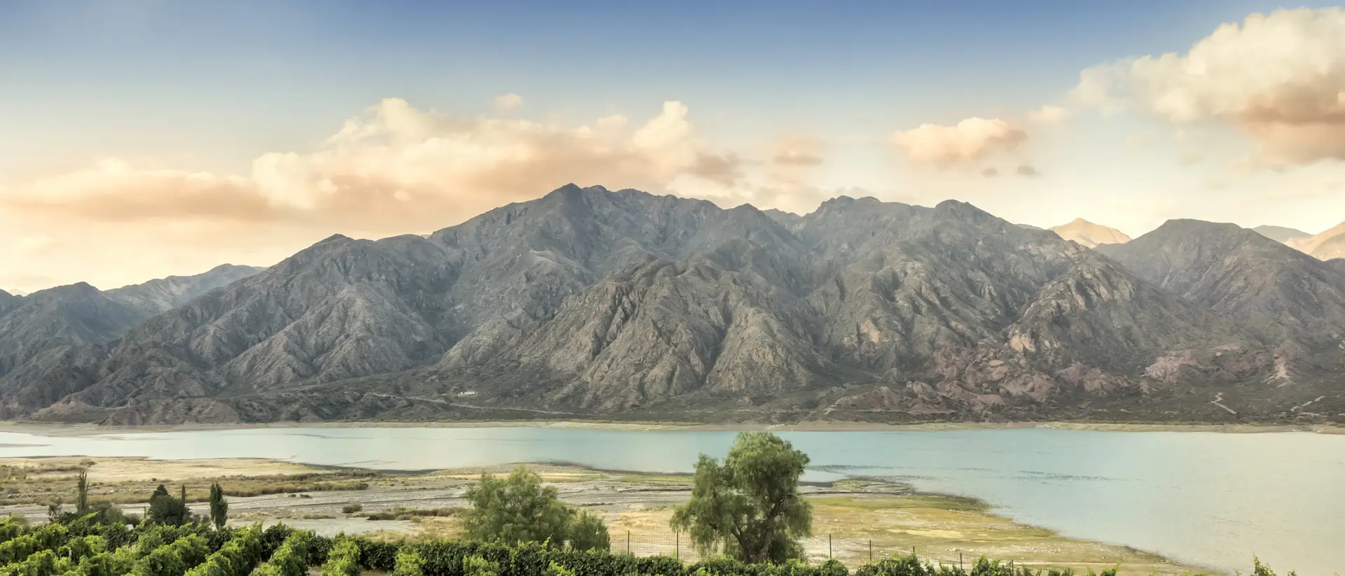 Andes Mountain Range Malbec vineyard in the Andes mountain range, Mendoza province, Argentina