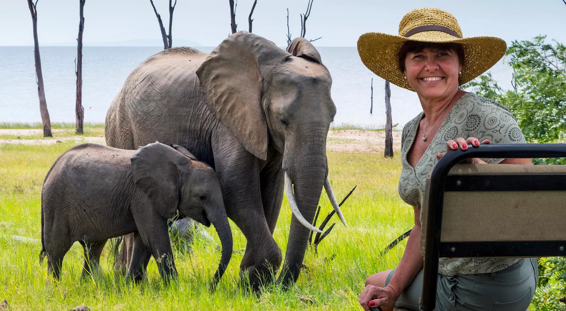 A smiling woman in a hat sits near two elephants in a grassy area with a lake in the background.