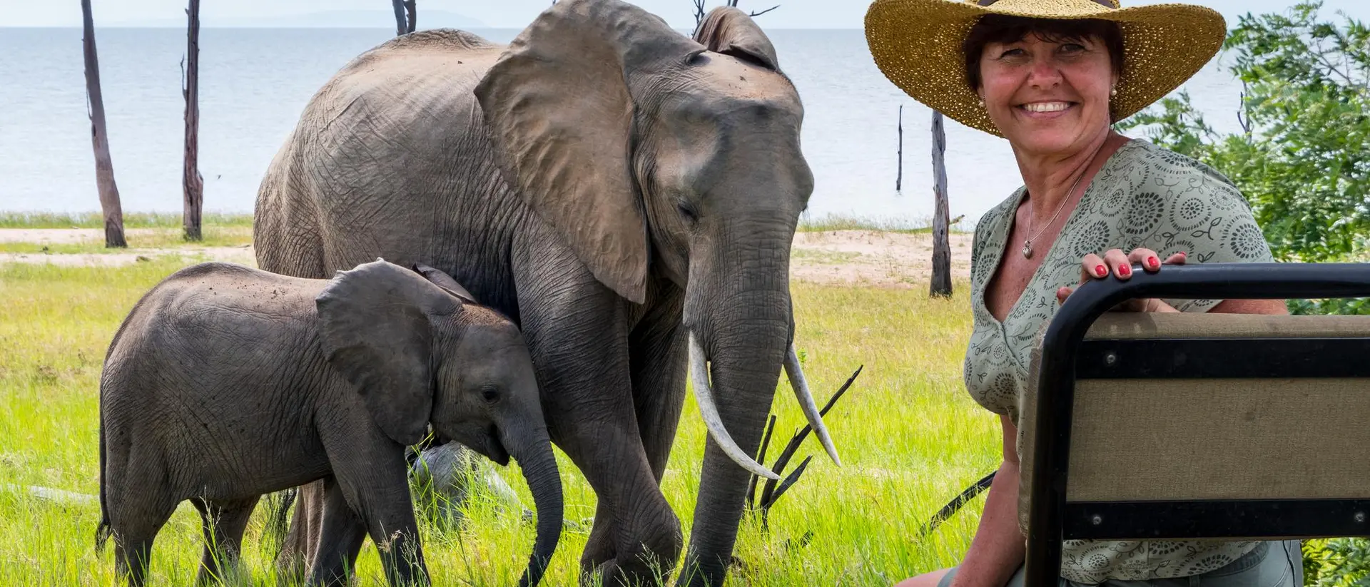 A smiling woman in a hat sits near two elephants in a grassy area with a lake in the background.