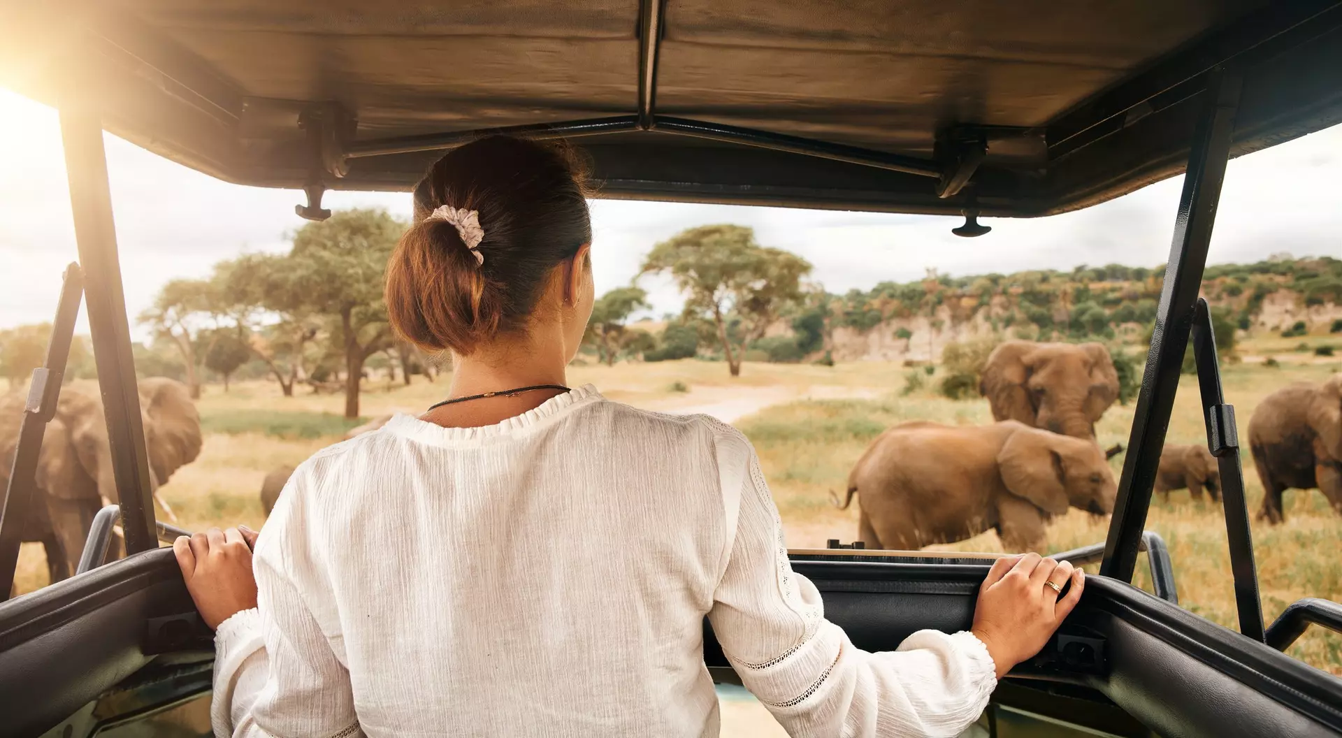 A woman sitting in a safari vehicle watching elephants in a grassy landscape under a sunset sky.