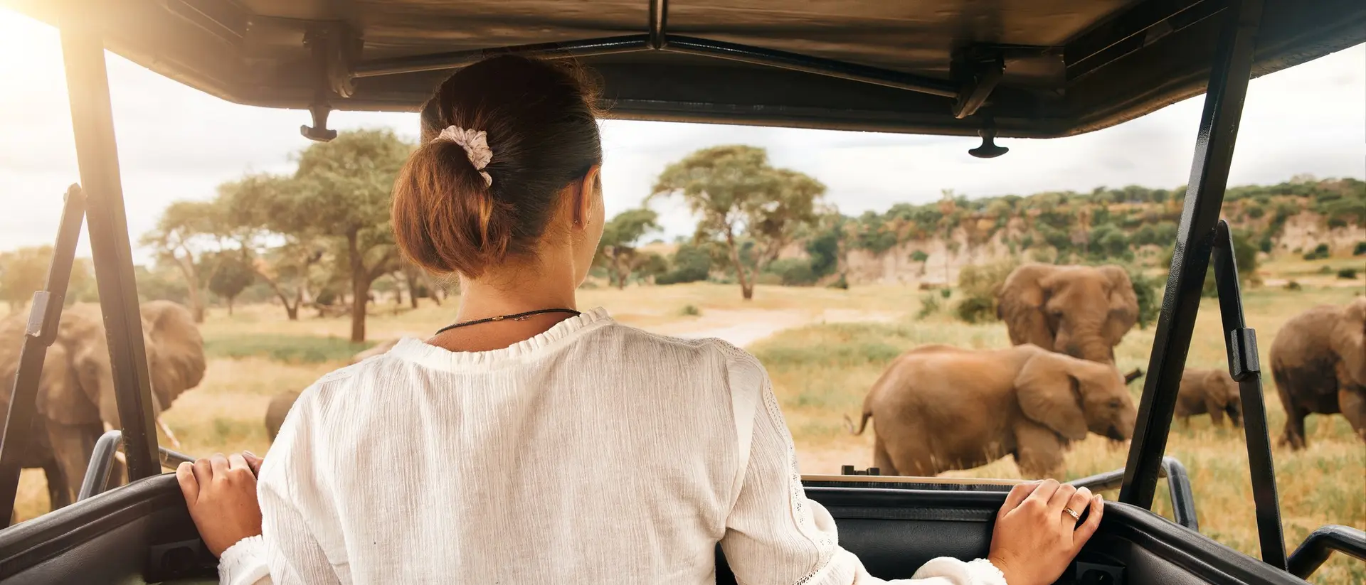 A woman sitting in a safari vehicle watching elephants in a grassy landscape under a sunset sky.