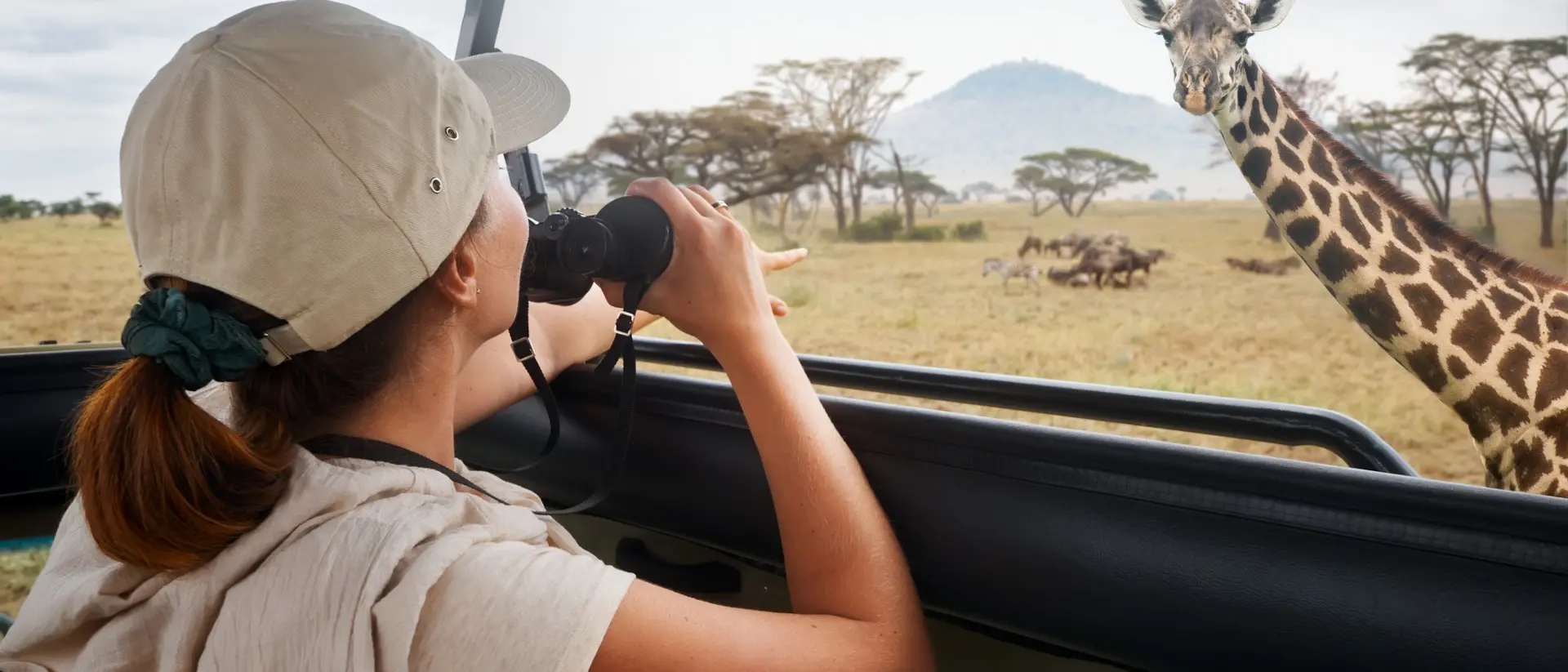A person in a hat observes a giraffe through a safari vehicle window in a grassy landscape.