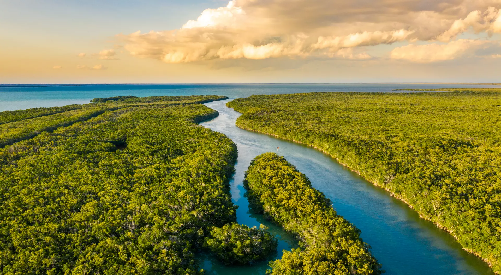 Landscape with an aerial view of wetlands in Everglades National Park at sunset