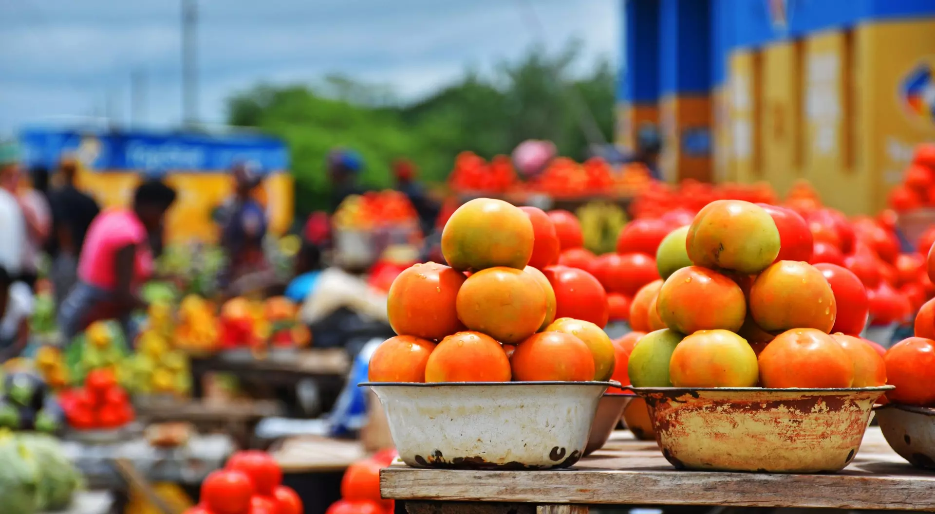 A bustling market scene with vibrant stacks of tomatoes and other fruits, set against a colorful backdrop.