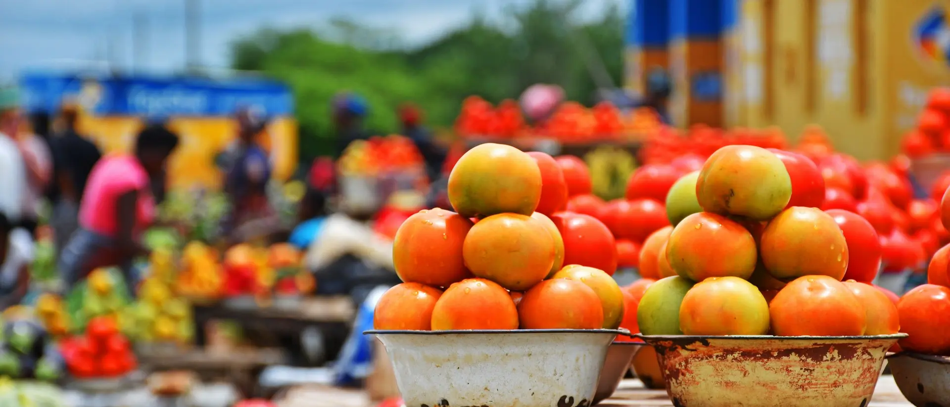 A bustling market scene with vibrant stacks of tomatoes and other fruits, set against a colorful backdrop.