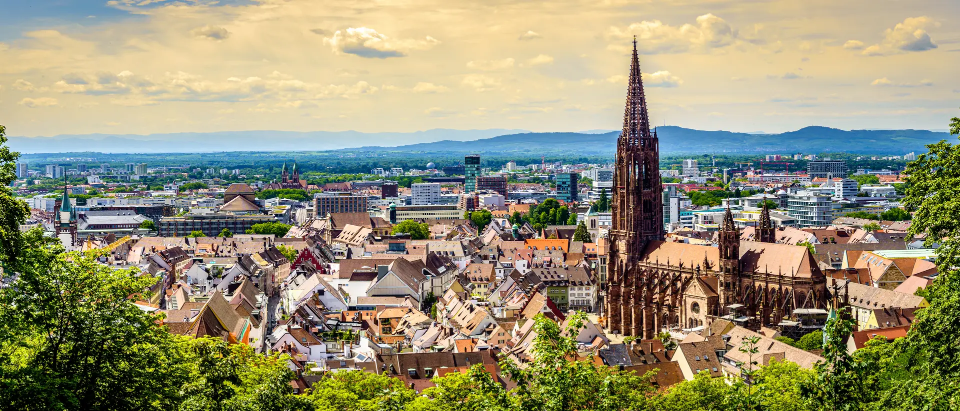 Freiburg Cathedral Historic buildings at the famous old town of Freiburg