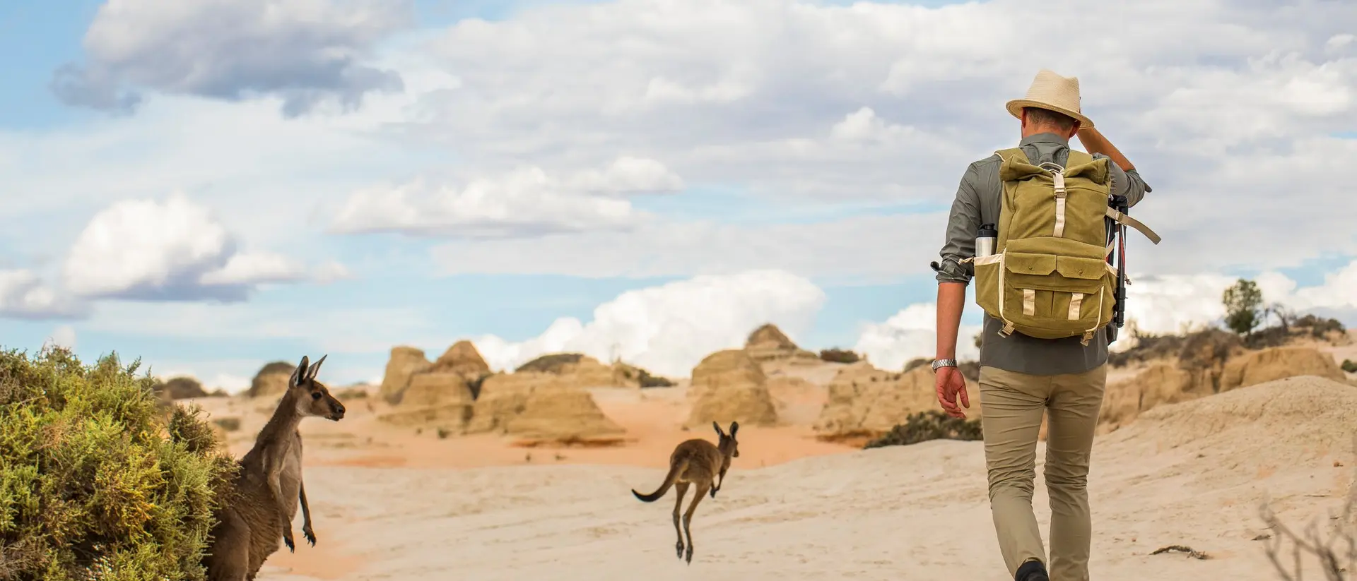 A person in a hat walks on a sandy path, accompanied by two kangaroos under a cloudy sky.
