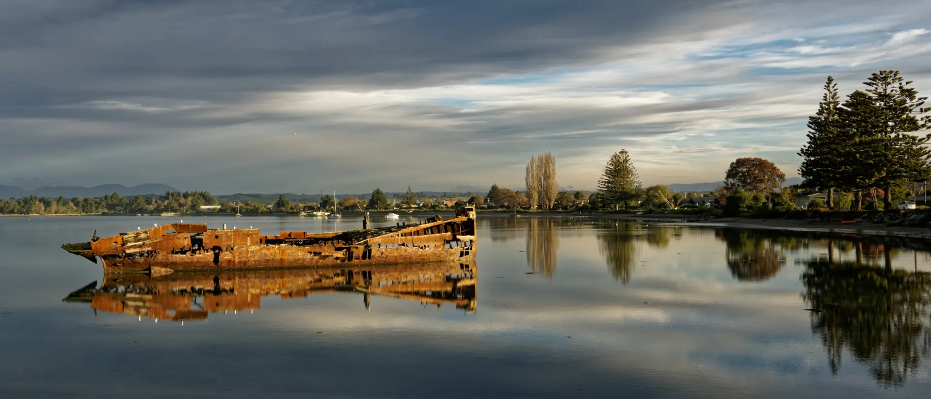 Janie Seddon Shipwreck Janie Seddon shipwreck glowing in the evening sunlight, Motueka, New Zealand.