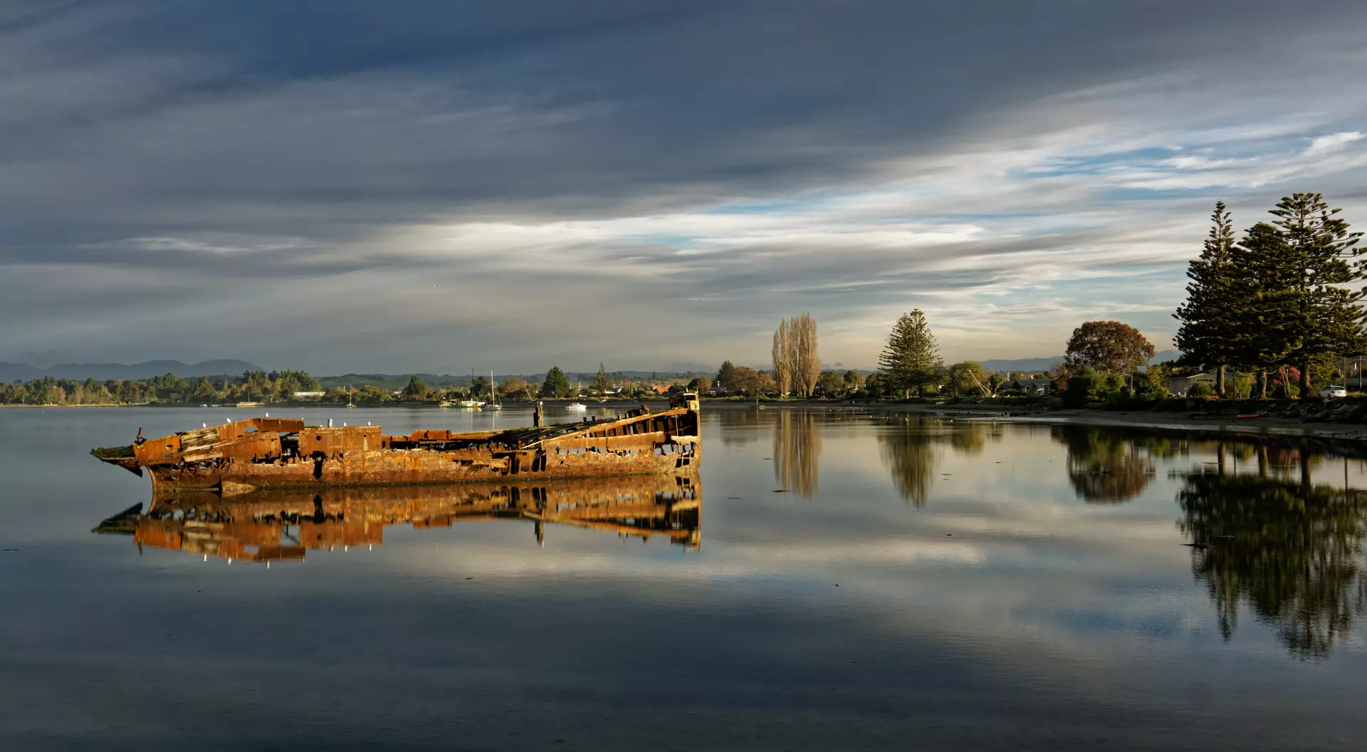 Janie Seddon Shipwreck Janie Seddon shipwreck glowing in the evening sunlight, Motueka, New Zealand.