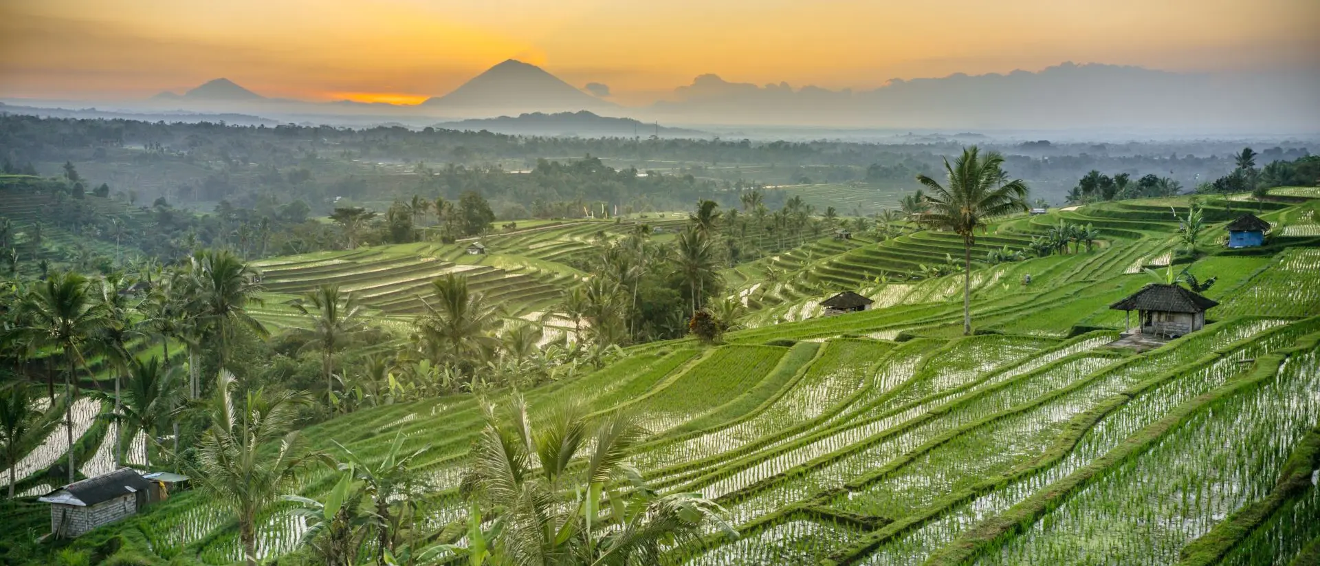 Tabanan Sunrise at the Atiluwih Rice Terraces located at Tabanan North Bali
