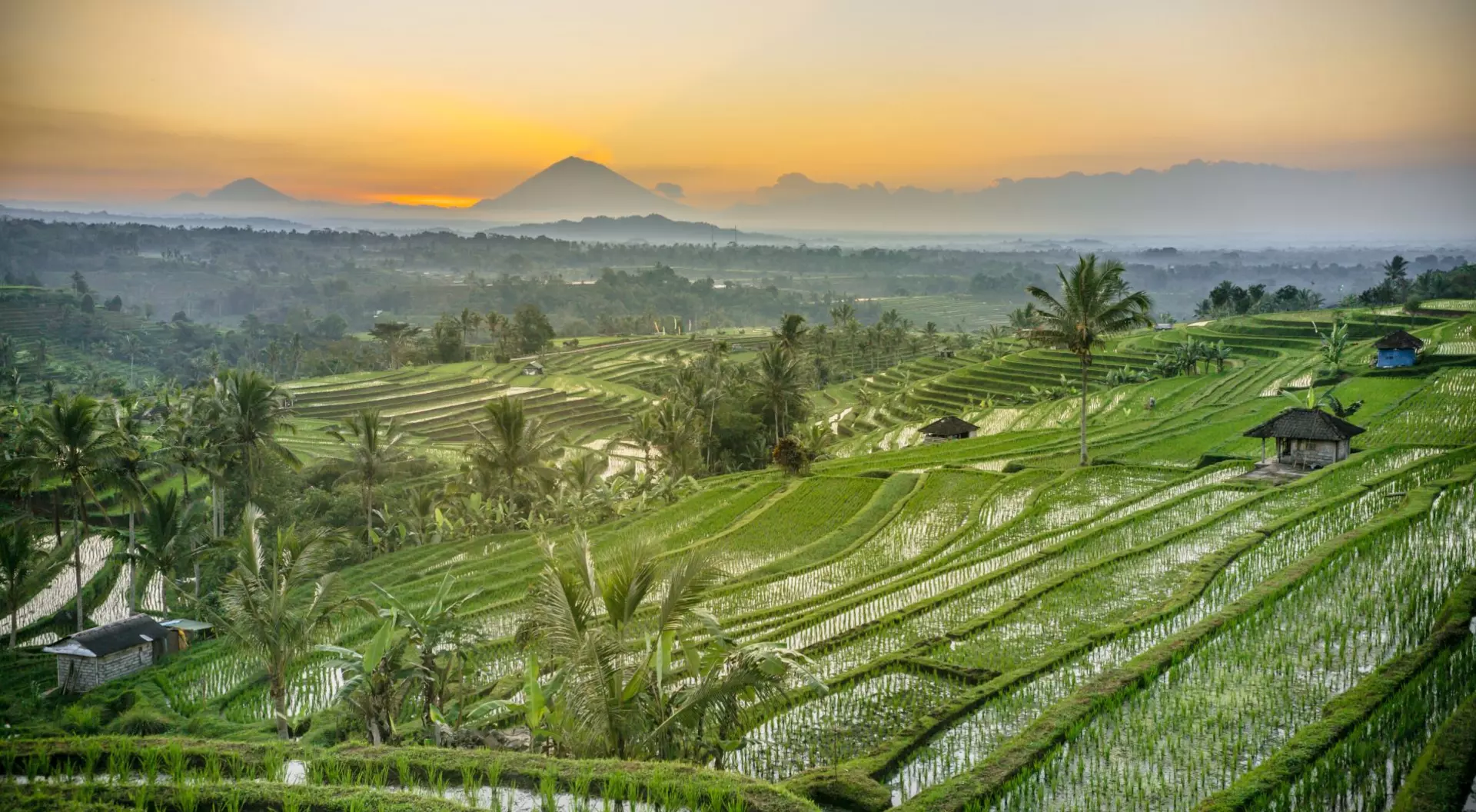 Tabanan Sunrise at the Atiluwih Rice Terraces located at Tabanan North Bali