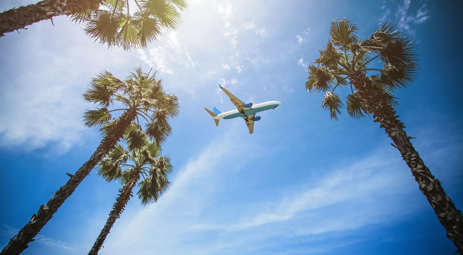 An airplane flies in the sky, viewed from the ground among palm trees