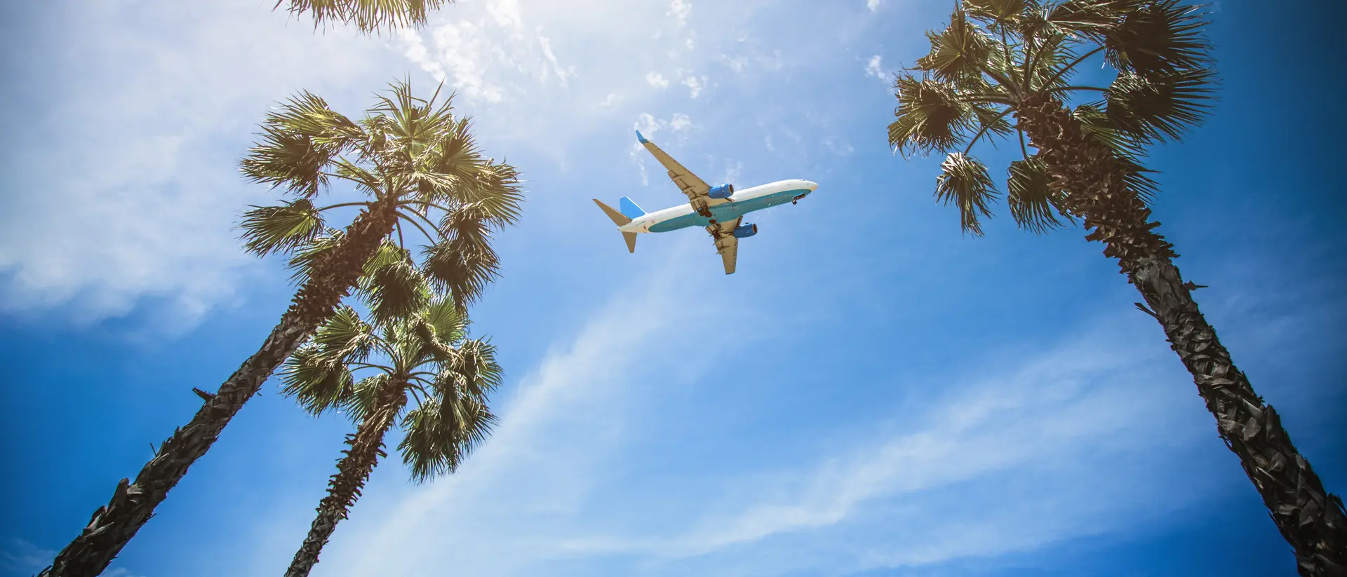 Book a travel package with air and travel without worry. An airplane flies in the sky, viewed from the ground among palm trees