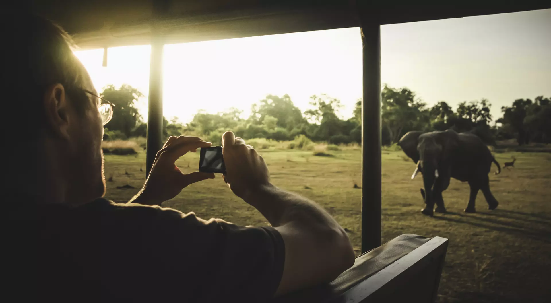 A person takes a photo of an elephant walking in a sunset-lit landscape.