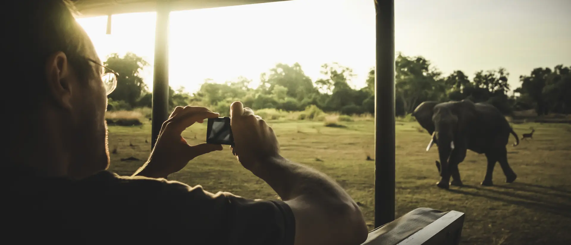 A person takes a photo of an elephant walking in a sunset-lit landscape.
