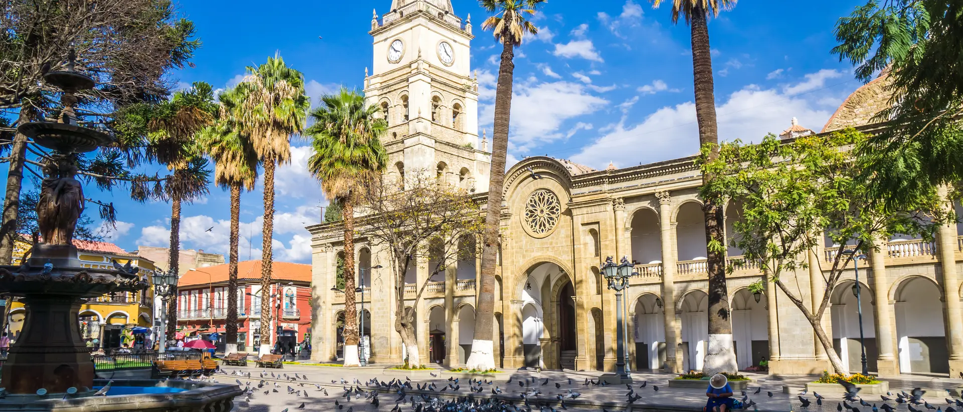 A sunny plaza featuring palm trees, a historic clock tower, and pigeons scattered on the ground.