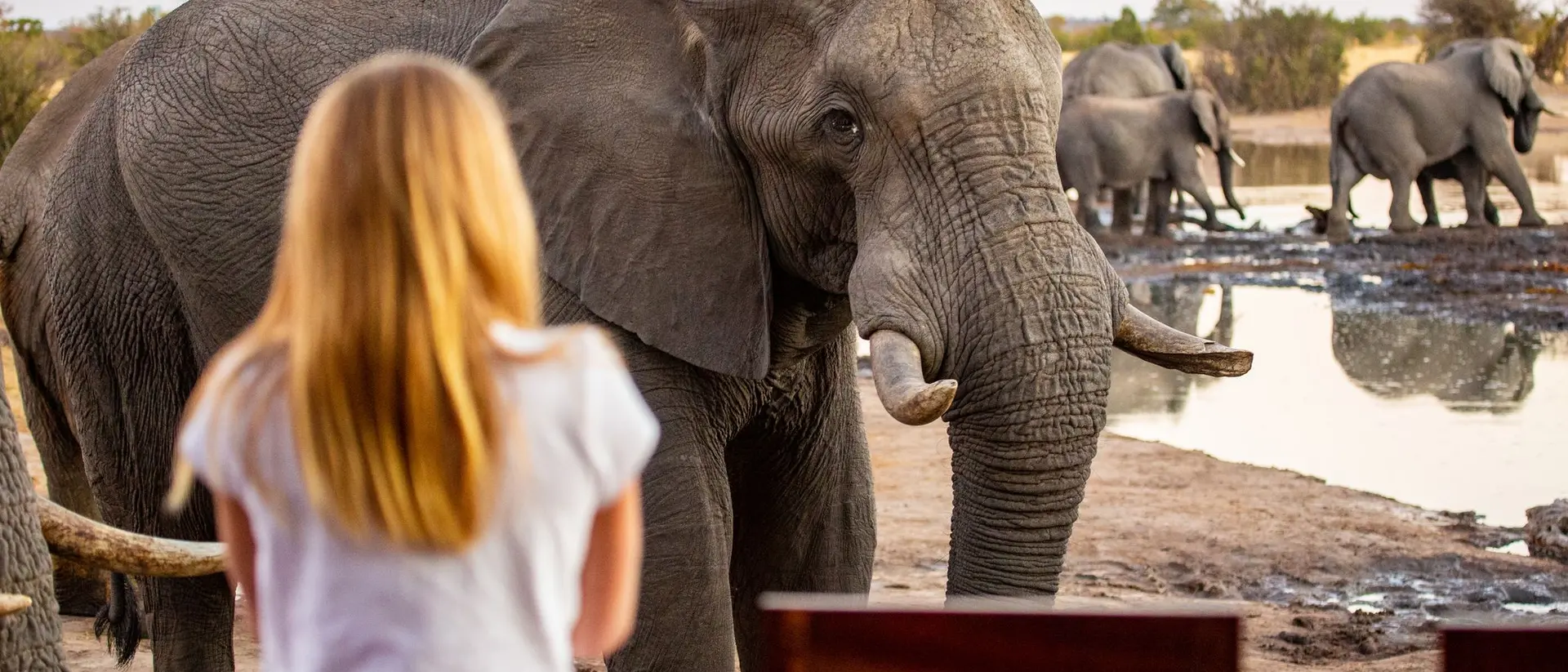 A girl watches elephants near a waterhole at sunset, captivated by the wildlife in the tranquil landscape.