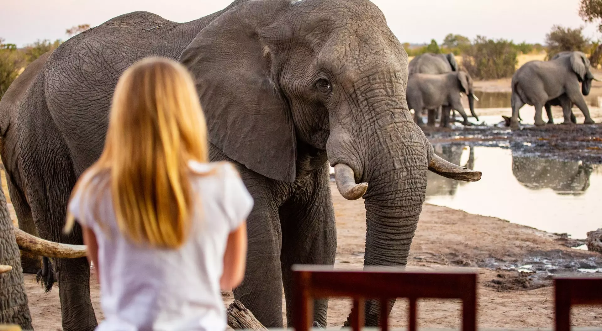 A girl watches elephants near a waterhole at sunset, captivated by the wildlife in the tranquil landscape.