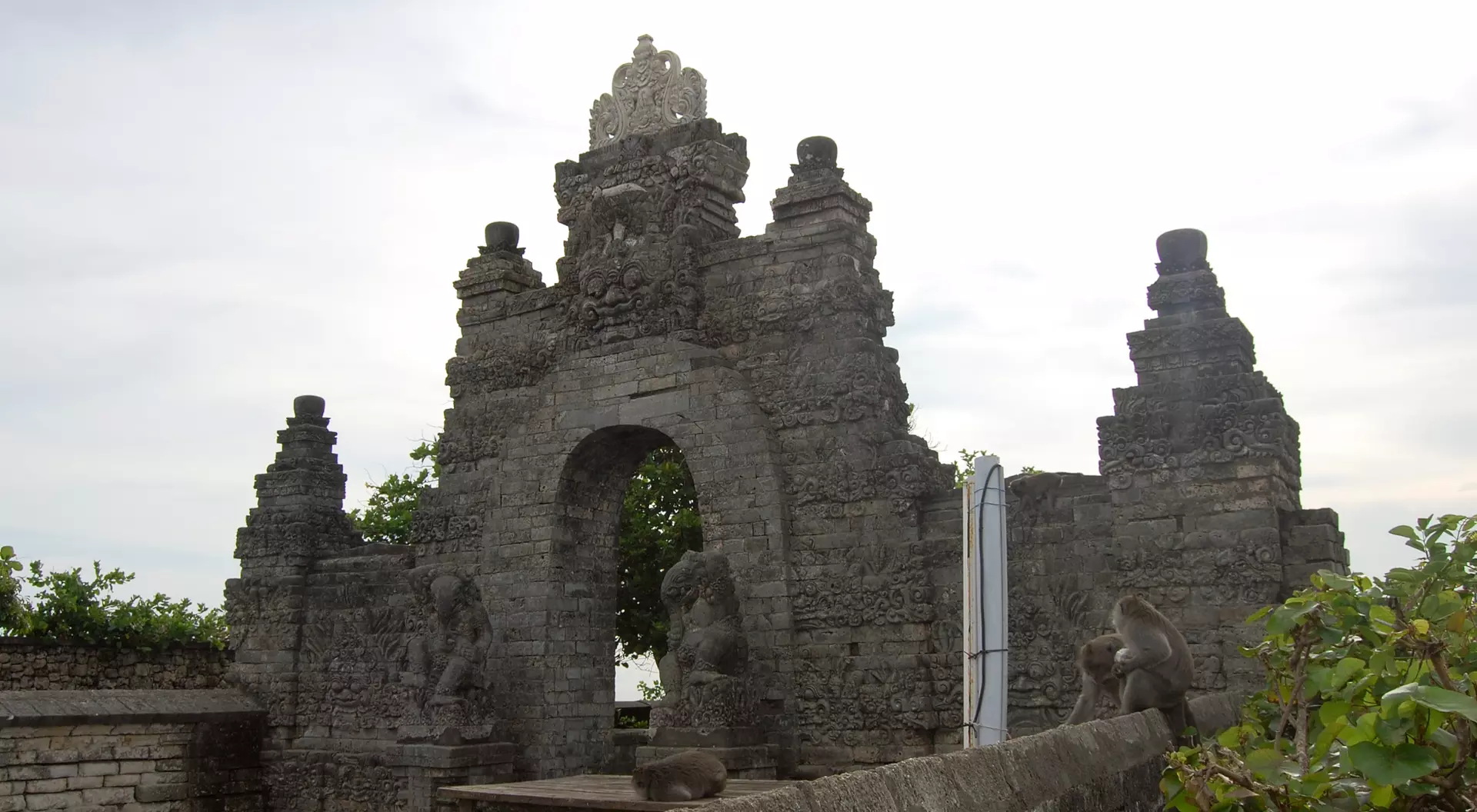 Macaques at Uluwatu temple, a hindu temple on a cliff in Bukit peninsula, Bali, Indonesia