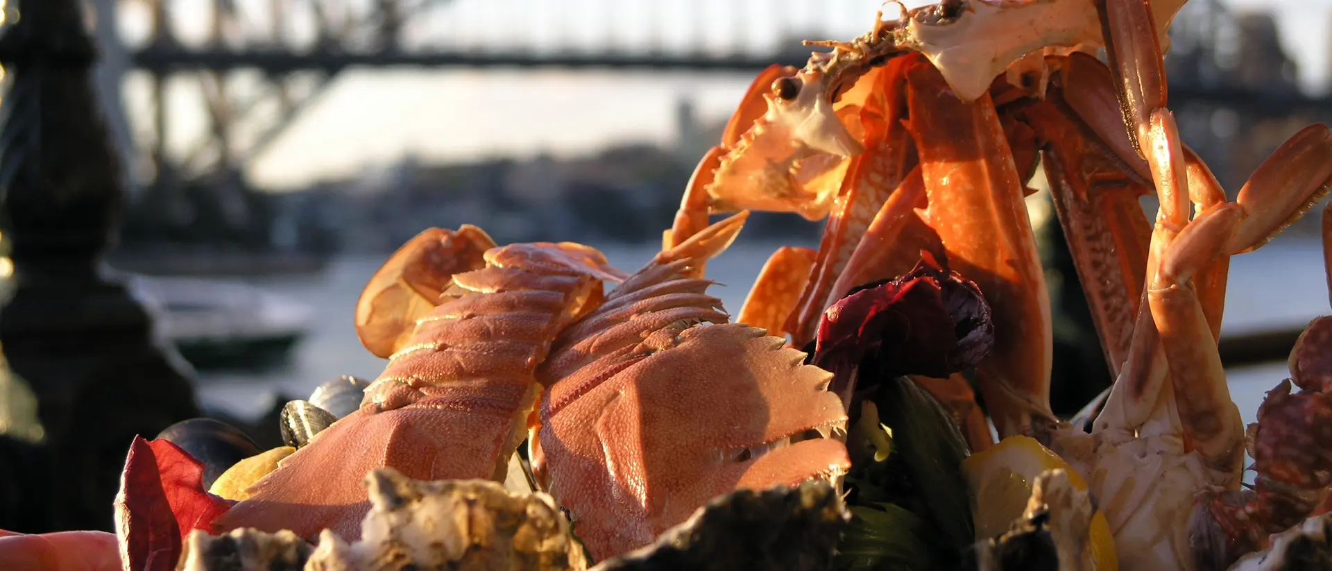 A seafood platter with lobster and crab in the foreground, with the Sydney Harbour Bridge in the background.