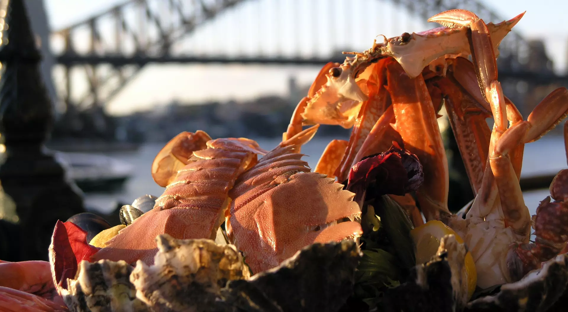 A seafood platter with lobster and crab in the foreground, with the Sydney Harbour Bridge in the background.