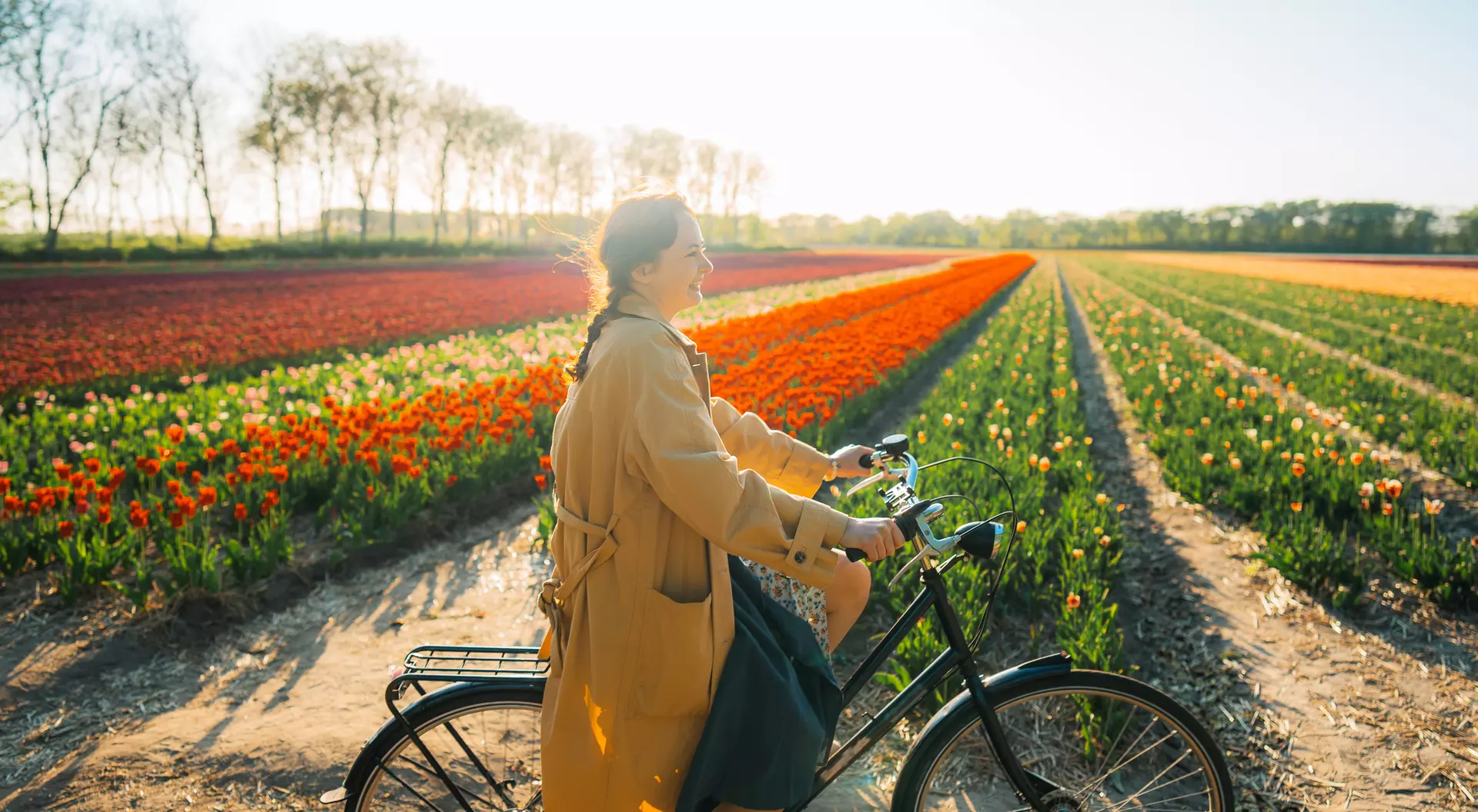 A woman rides a bicycle beside vibrant tulip fields under a sunny sky.