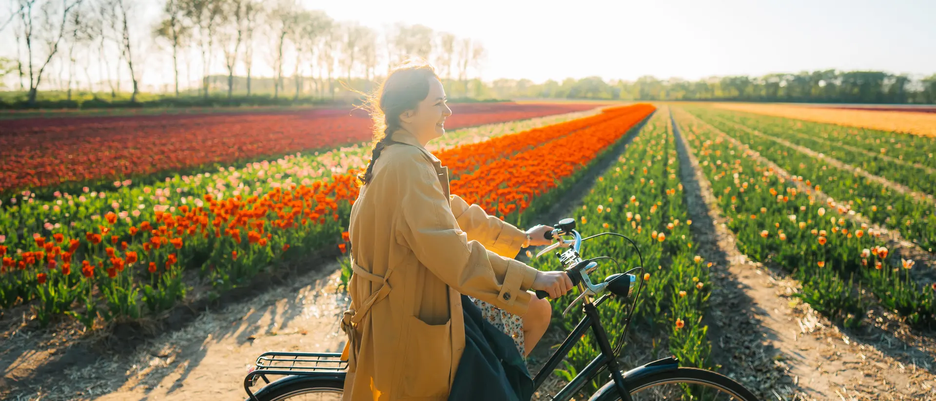 A woman rides a bicycle beside vibrant tulip fields under a sunny sky.