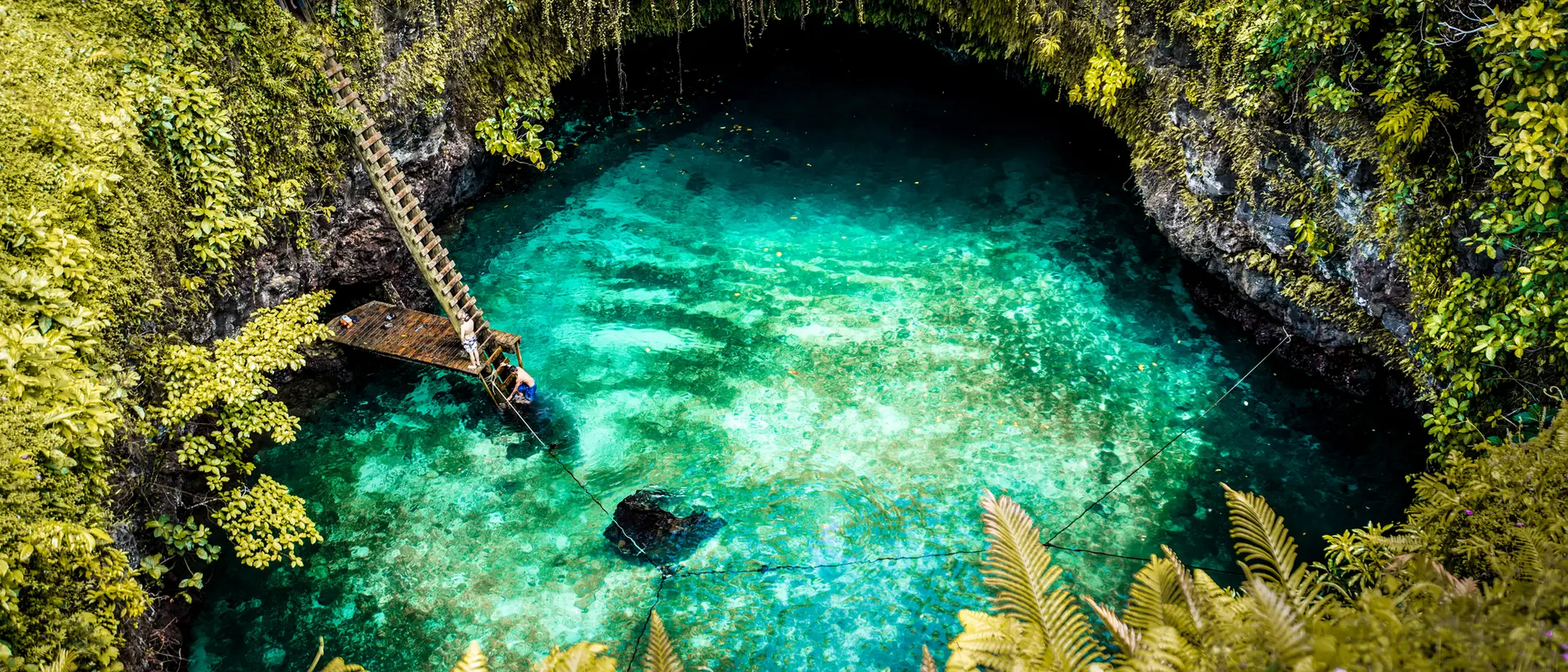 A serene, turquoise natural pool surrounded by lush greenery and a wooden ladder leading down to the water.
