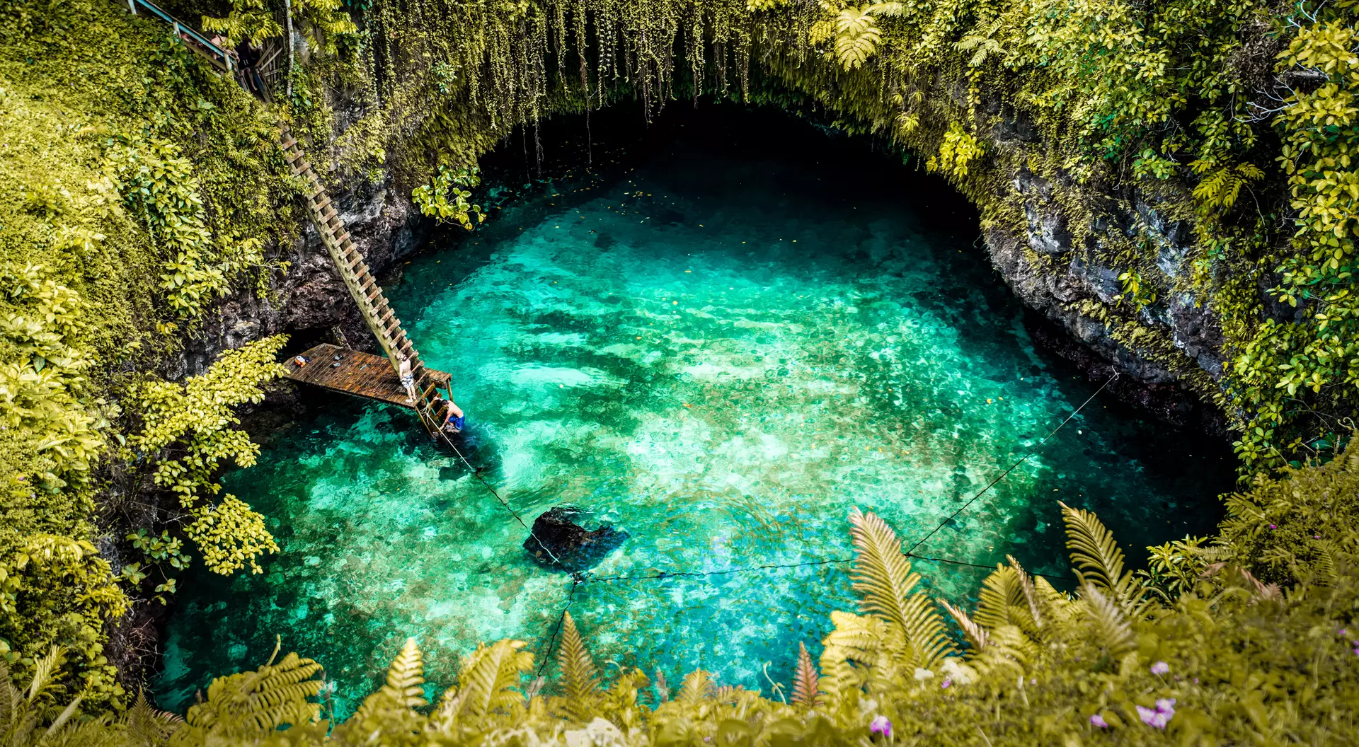 A serene, turquoise natural pool surrounded by lush greenery and a wooden ladder leading down to the water.