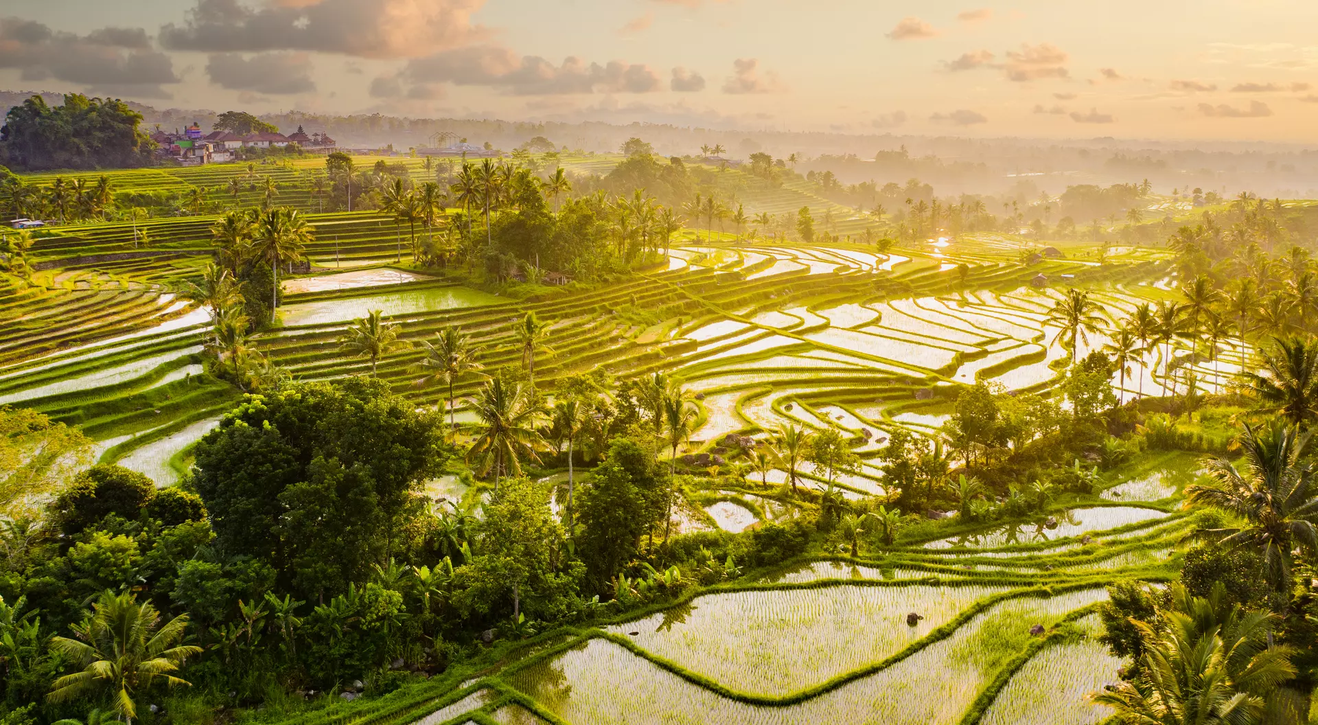 Jatiluwih Rice Terraces Sunrise aerial view of early morning on Jatiluwih Rice Terraces
