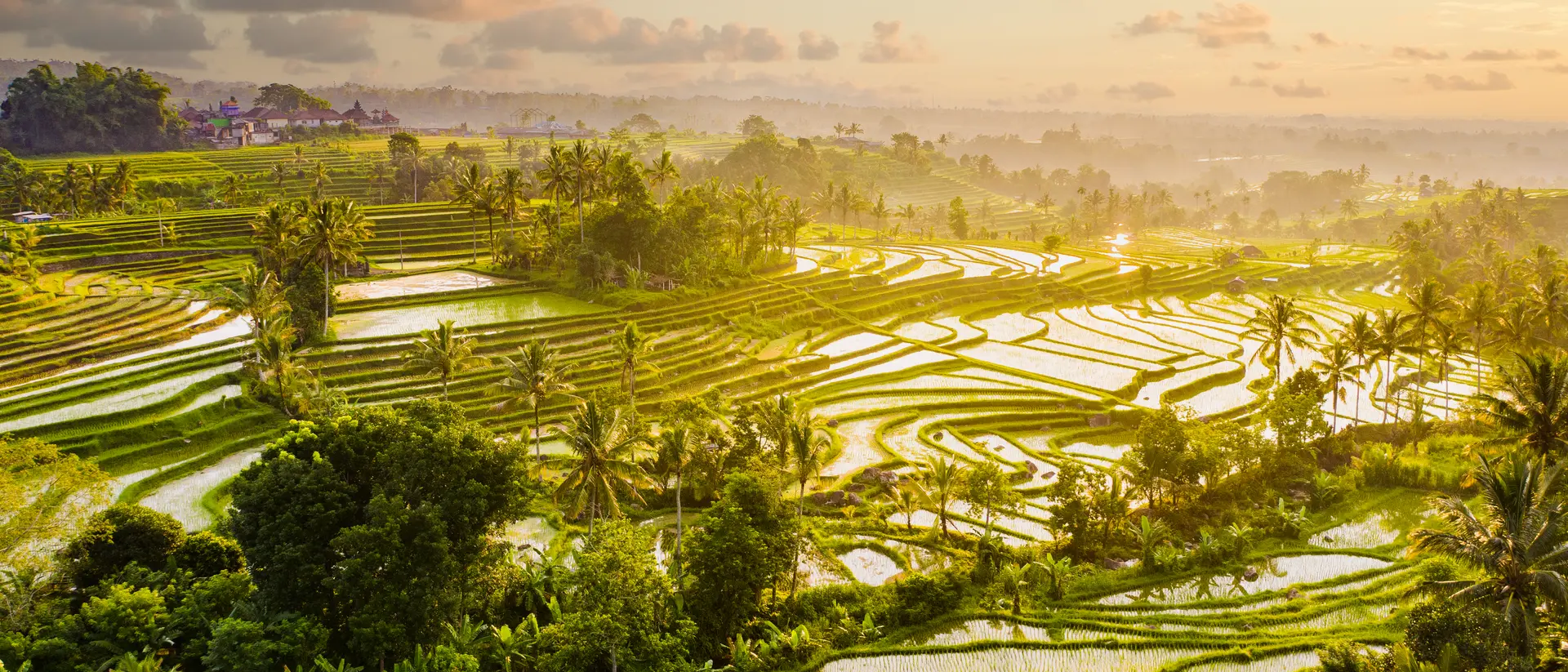 Sunrise aerial view of early morning on Jatiluwih Rice Terraces