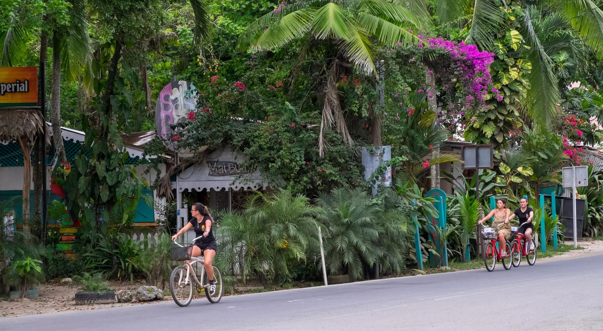 Two women ride bicycles along a tree-lined street with tropical plants and colorful flowers in the background.