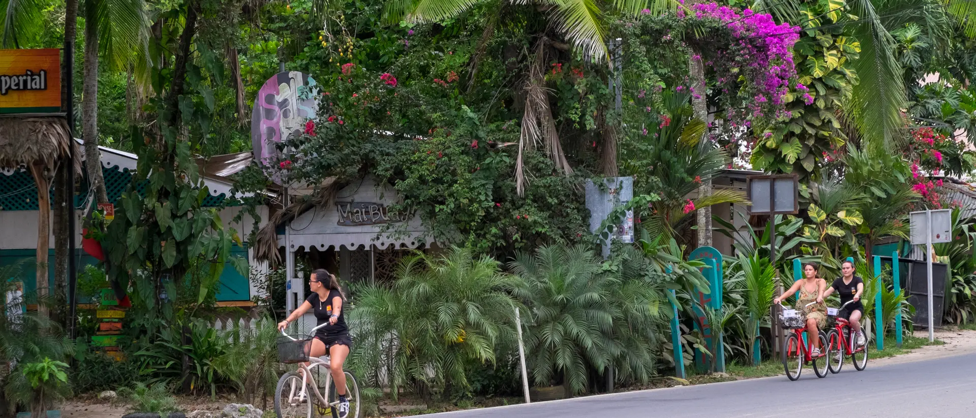 Two women ride bicycles along a tree-lined street with tropical plants and colorful flowers in the background.
