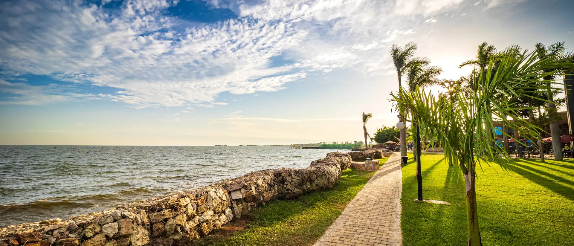 Sun setting behind tropical palm trees, drawing warm shadows on the meadow next to the shoreline of Lake Victoria. A pedestrian walkway leading the way along the shore