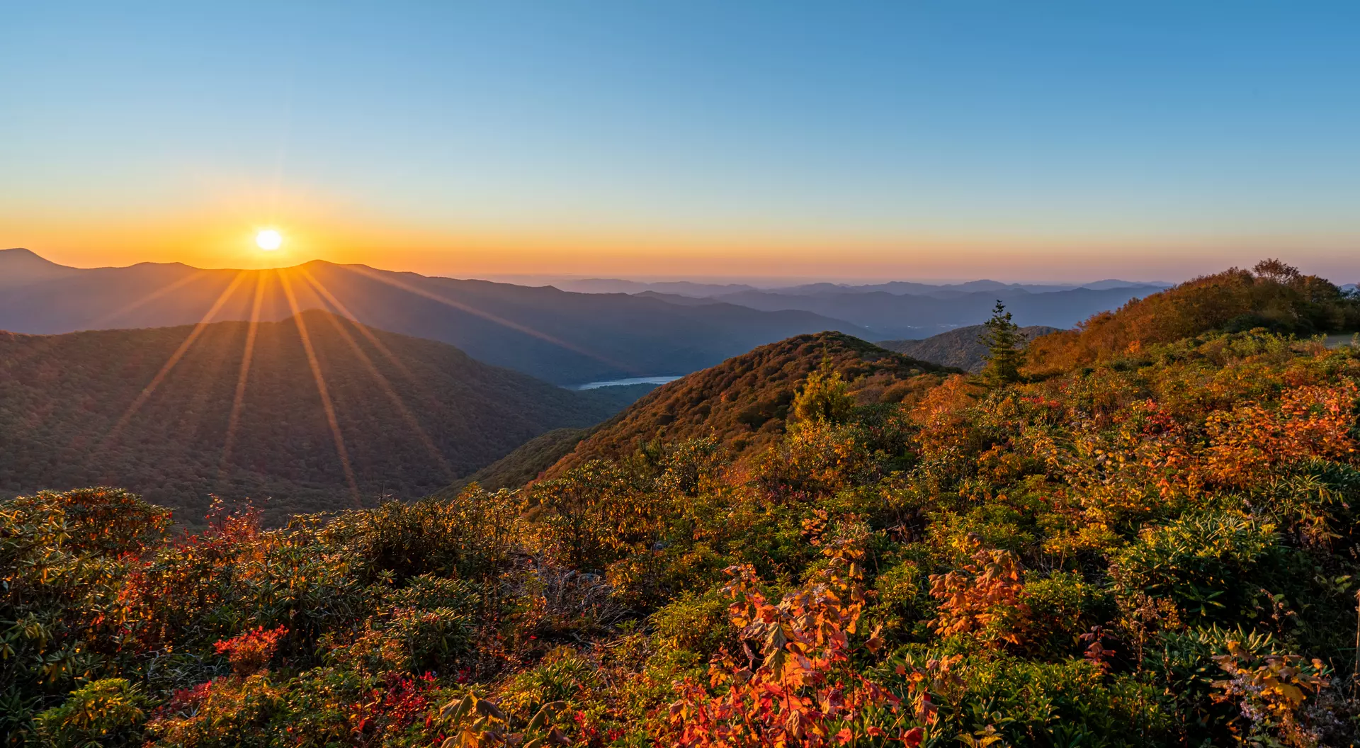 Pisgah National Forest, Asheville, United States Fall Foliage of Pisgah National Forest with a Vibrant Sunrise on the Blue Ridge Parkway' Craggy Gardens