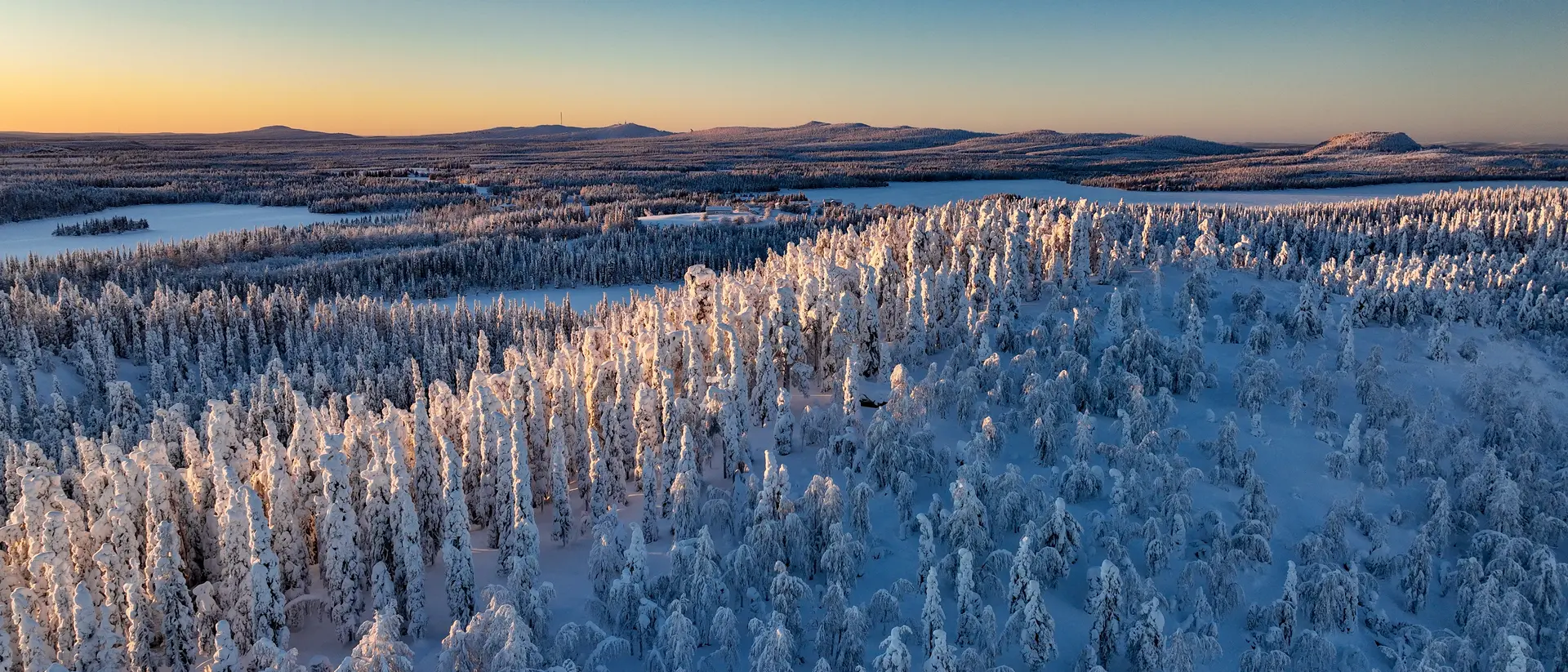 Aerial drone view above sunlit, snow covered trees on top of a hill, golden hour