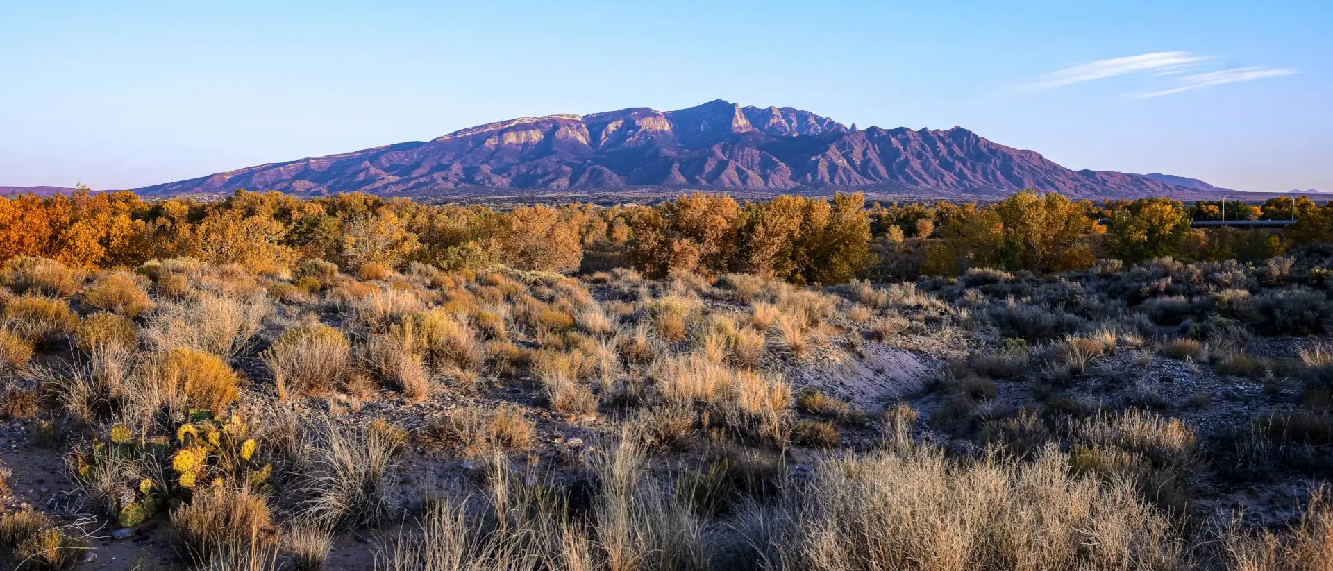 A view of the mountains is seen across a desert plain