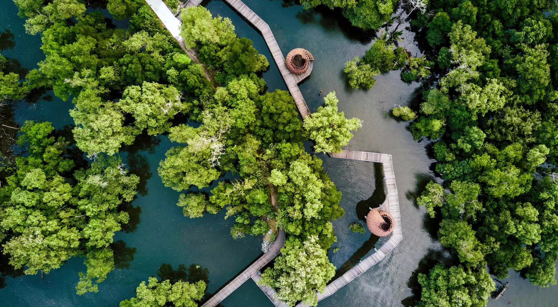 Sungei Buloh Wetland Reserve Aerial view of Sungei Buloh mangrove nature reserve in Singapore