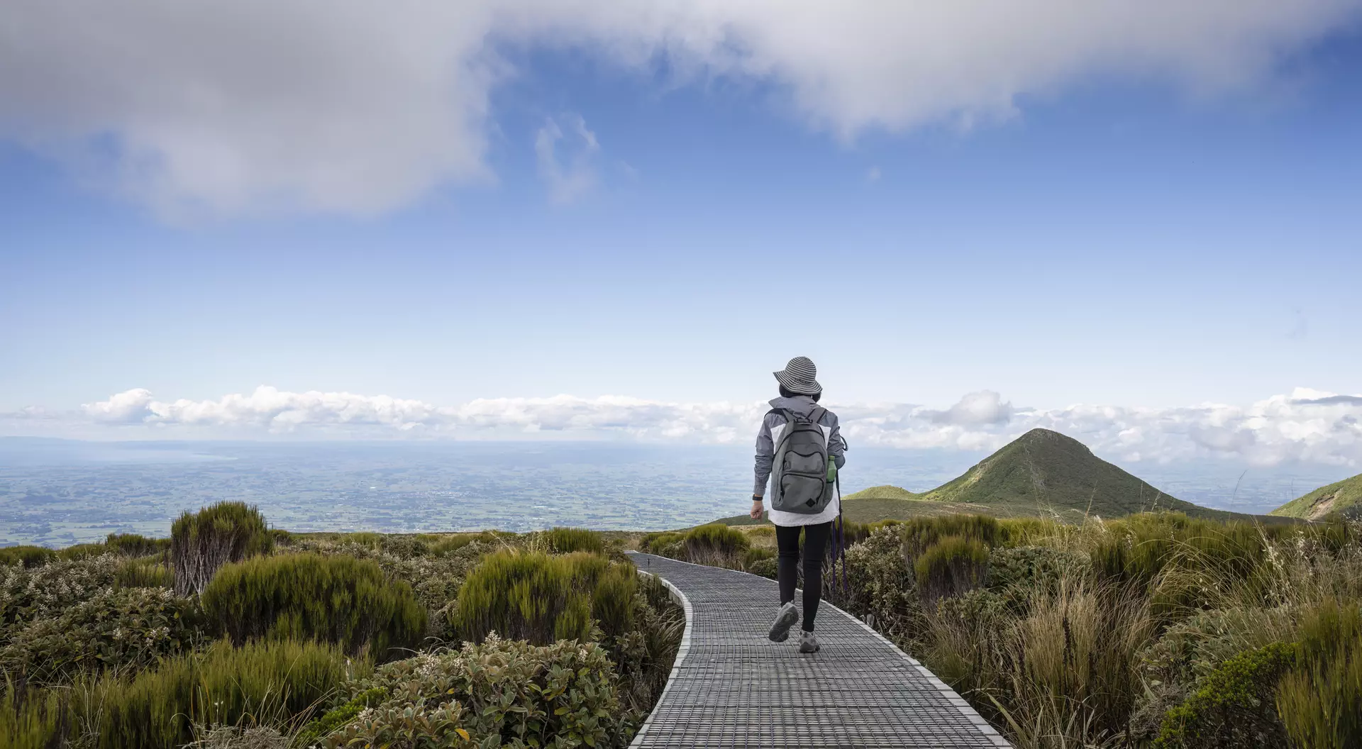 A person walks along a boardwalk through lush greenery, with mountains and a blue sky in the background.