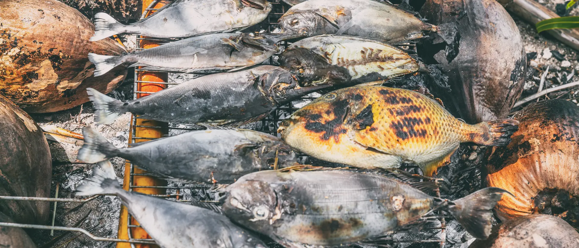 Grilled fish resting on a metal grate, surrounded by coconut shells and ashes, indicating a cooking process outdoors.