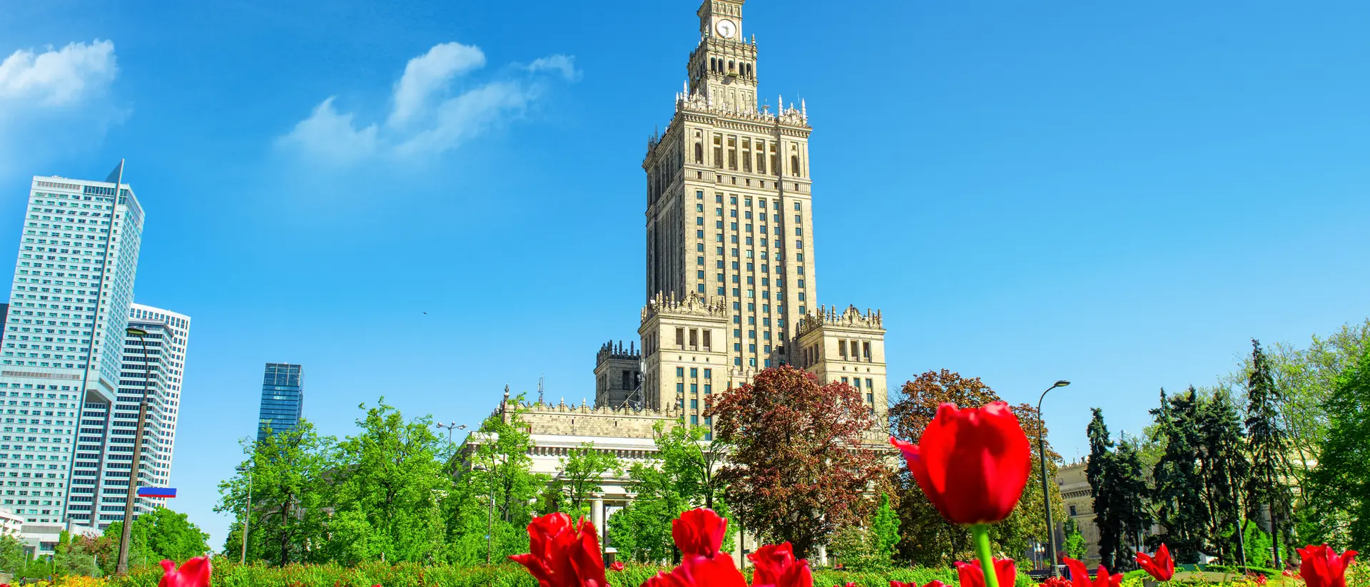 Varied red tulips in the foreground with the iconic Palace of Culture and Science in Warsaw against a blue sky.