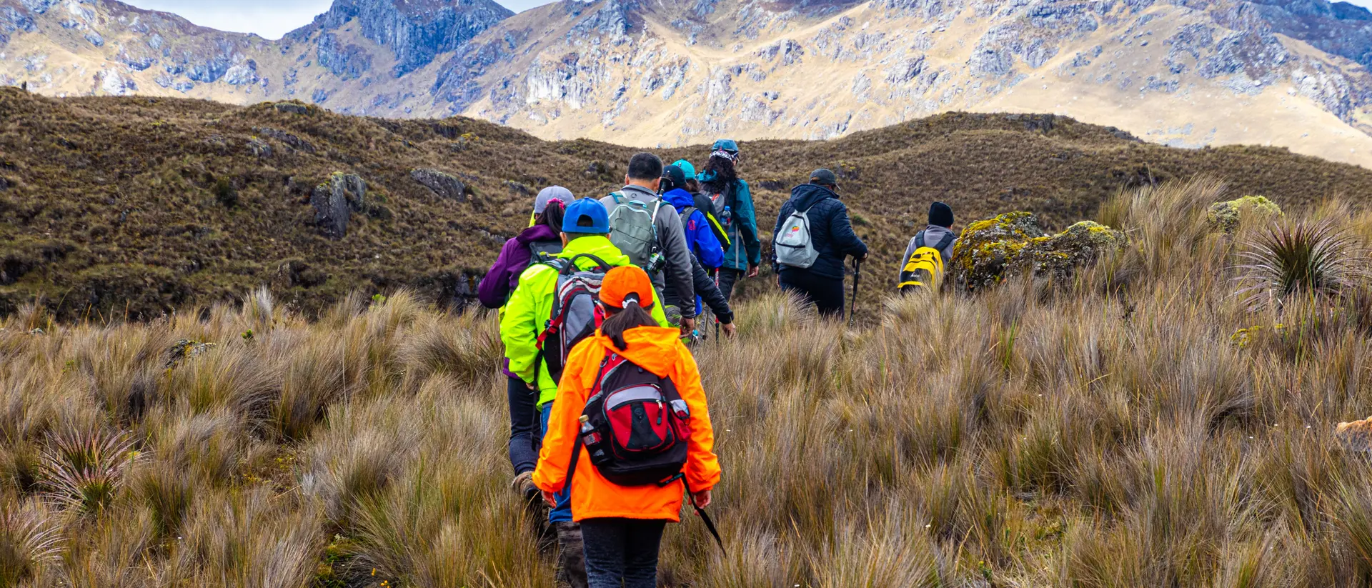 A group of hikers wearing colorful jackets trek through grassy terrain towards distant mountains.