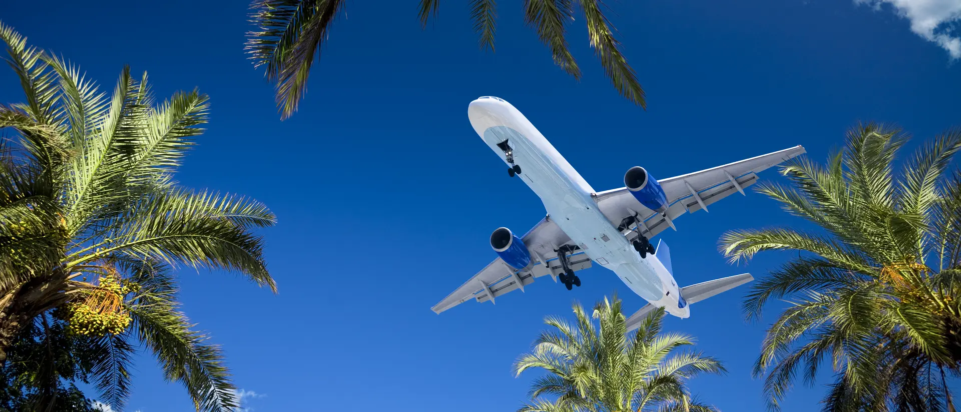 A white passenger plane flies overhead across a bright blue sky, framed by palms trees and two white clouds.