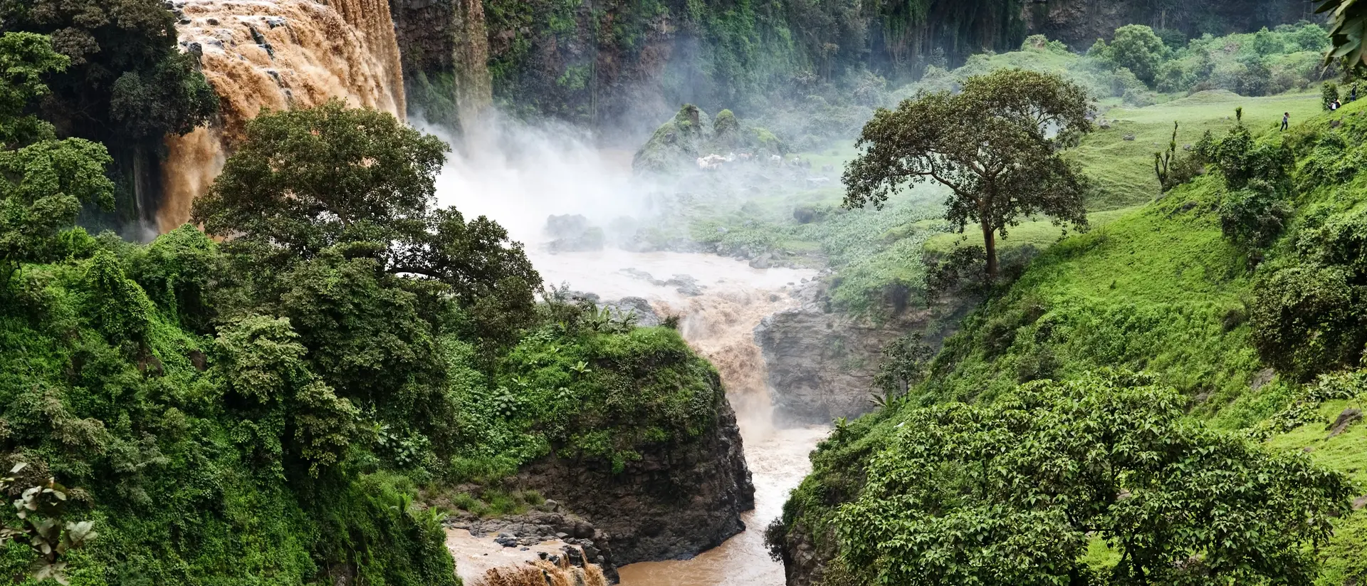 A scenic view of a waterfall cascading into a lush green valley, surrounded by trees and mist.