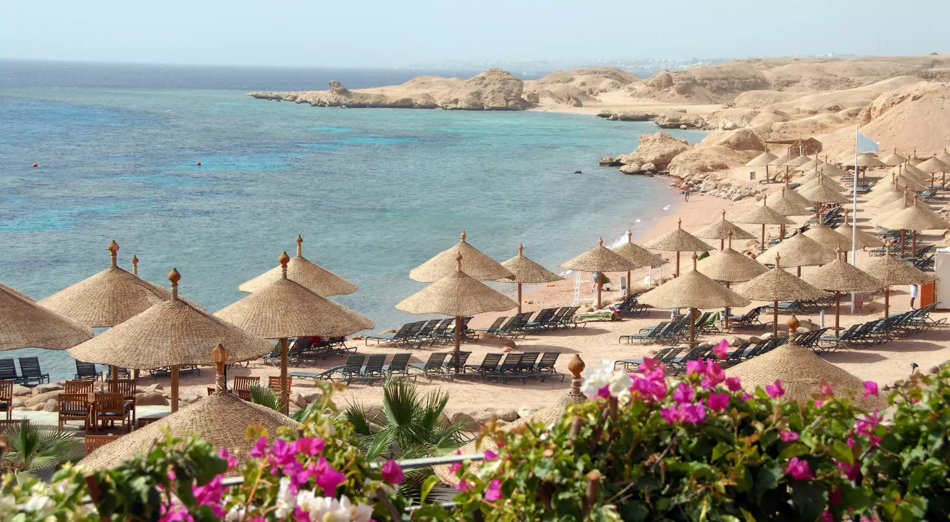 Tropical beach view with umbrellas, lounge chairs, clear water, and rocky shore, framed by colorful flowers in the foreground.